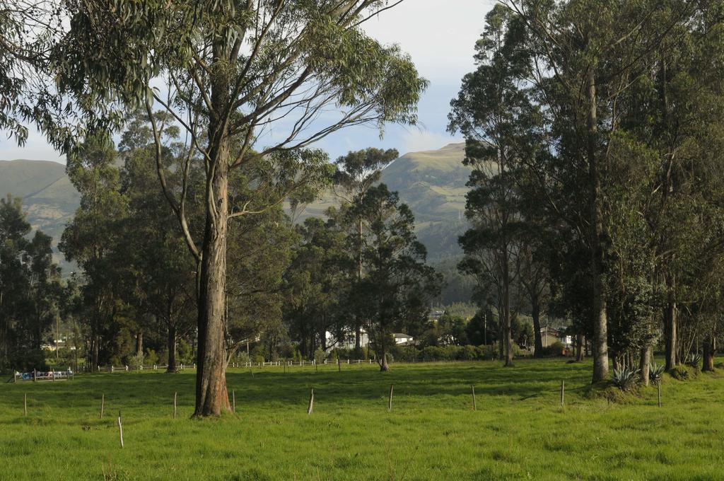 Molino San Juan Acomodação com café da manhã Cayambe Exterior foto
