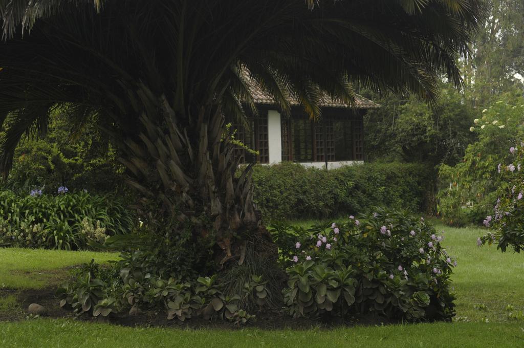 Molino San Juan Acomodação com café da manhã Cayambe Exterior foto