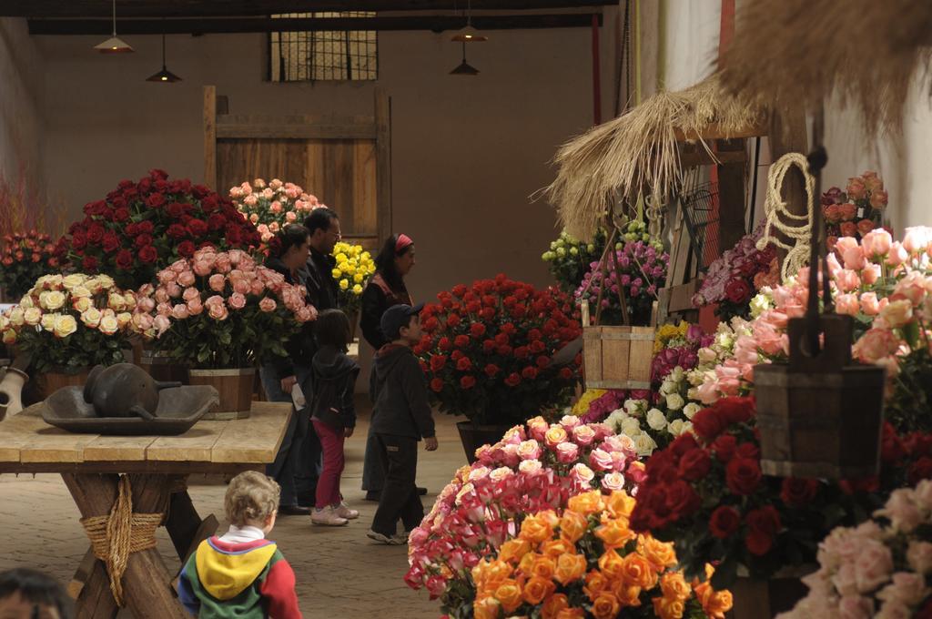 Molino San Juan Acomodação com café da manhã Cayambe Exterior foto